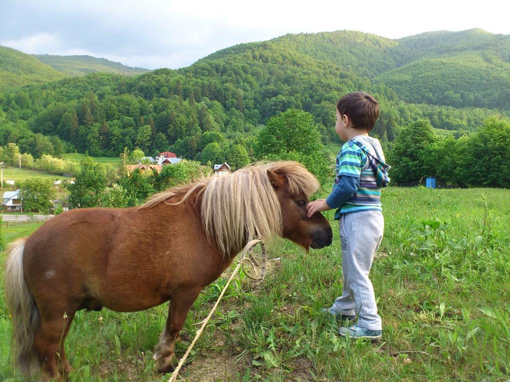 Pensiunea Poiana Farm stay Slanic Moldova