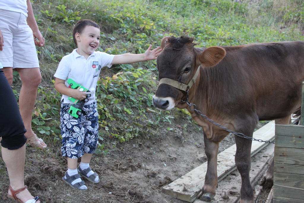 Pensiunea Poiana Farm stay Slanic Moldova