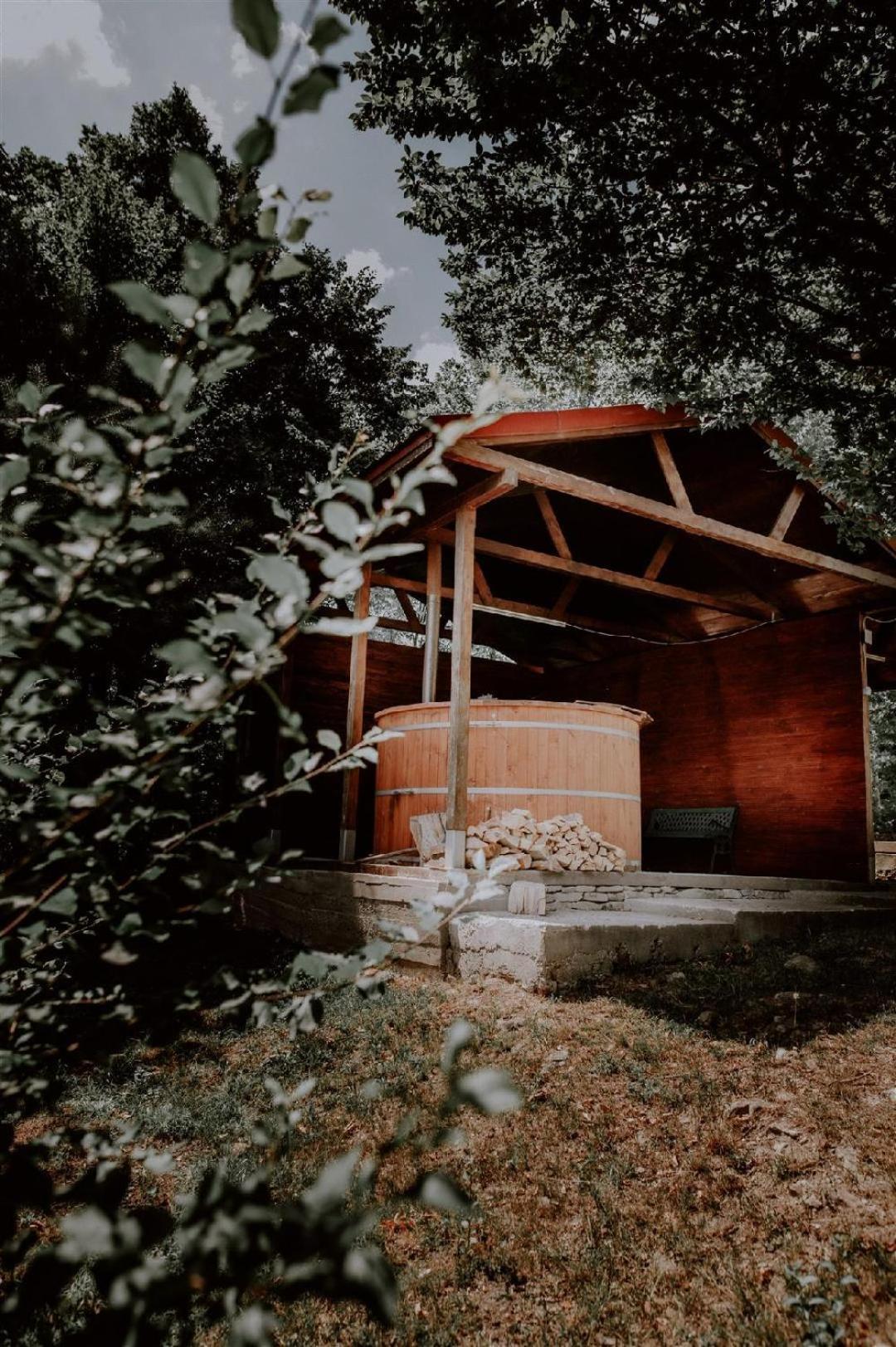 Farm stay Pensiunea Poiana Slanic Moldova