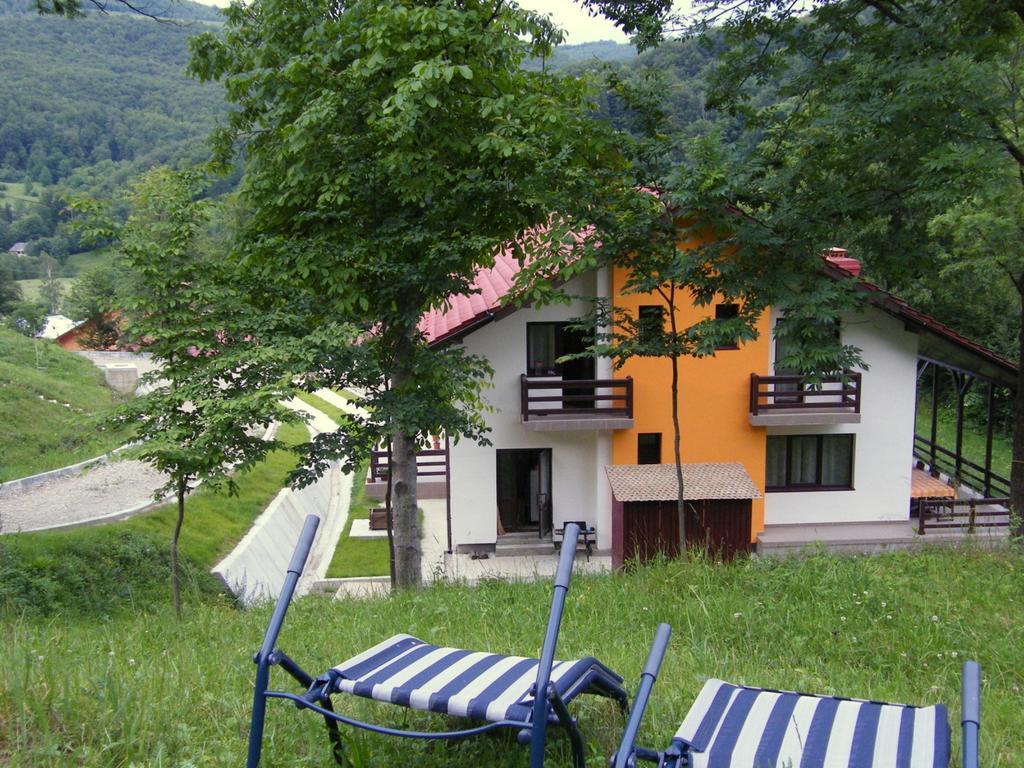 Farm stay Pensiunea Poiana