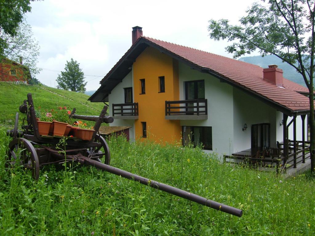 Farm stay Pensiunea Poiana Slanic Moldova