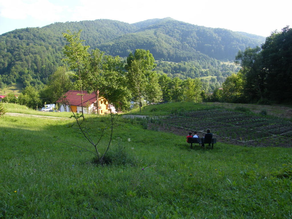 Farm stay Pensiunea Poiana Slanic Moldova