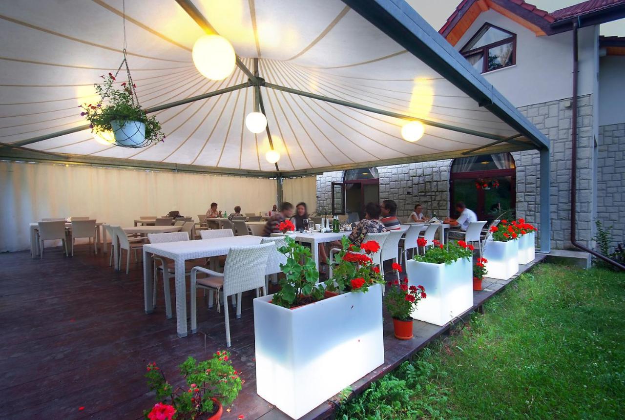 Pensiunea Poiana Farm stay *