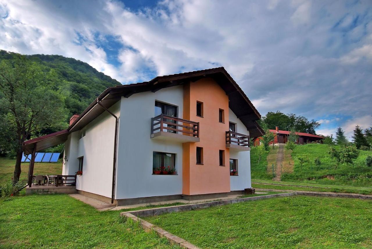 Pensiunea Poiana Farm stay *
