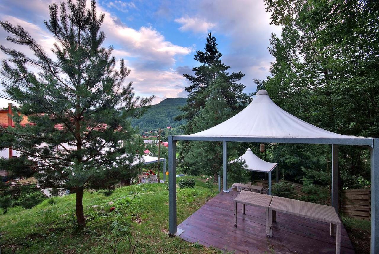 Farm stay Pensiunea Poiana *